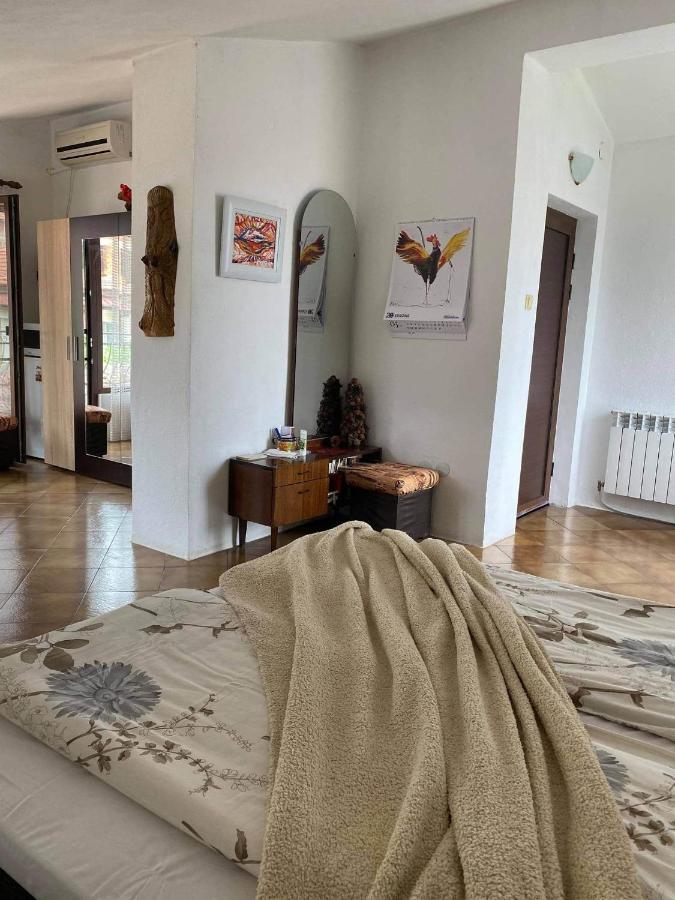 Art Studio Sapareva Banya Dış mekan fotoğraf